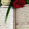 user8463860184931