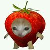 lemoninut