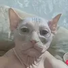 dylanclose_