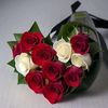 fot4555