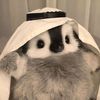 khaled_5712