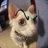 miyukikojo