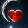 ayse7188