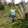 ayda.crespo