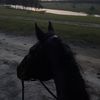 leah.driggerss