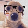 s1mply.br4elynn