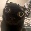 fttyghuhh