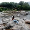 araaa_gnz