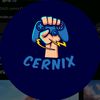 cernix503