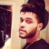 theweeknd44