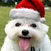 clydedawg