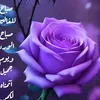 user961448038120