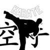 thekarate_0