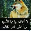 user4659449214932