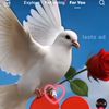 user6314631861230