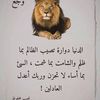 abdallah.gadallh