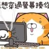 user4873063268808