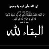 anis.bouzidi84