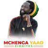 mchengayaadzionites