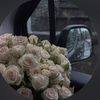 i8llnq