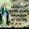 teya16211927