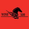 windsooautomobileworld