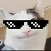 lerr_uri