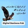 shohaib.kashmiri