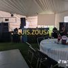 luiszuosa