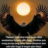 jhoiscintaaliya33