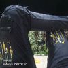 dimasss_mandirii