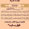 user19066173308815