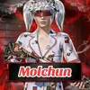 wwwmolchun