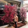 trn.xun759