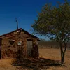 ranchocarcara