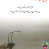 chalihassan685