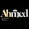 ahmed_1995_13k