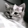 theyhurt3
