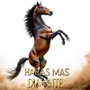 haras.davi