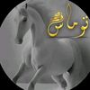 qqqqqqqpppyyy