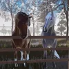 lake.wood.stable