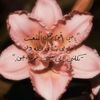taif5160