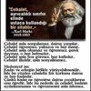 tursn.demir