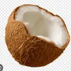 coconut9305