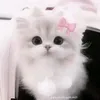 rubyhuynh9