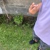 28_jhan7