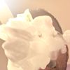 jluxxx69