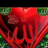 amin90amin90261
