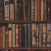 m_bookzs