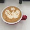 cecilebrews